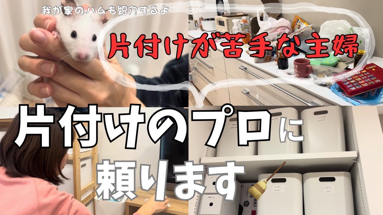 【片付け苦手】整理収納アドバイザー呼んで一緒に片付けてもらった【主婦vlog】