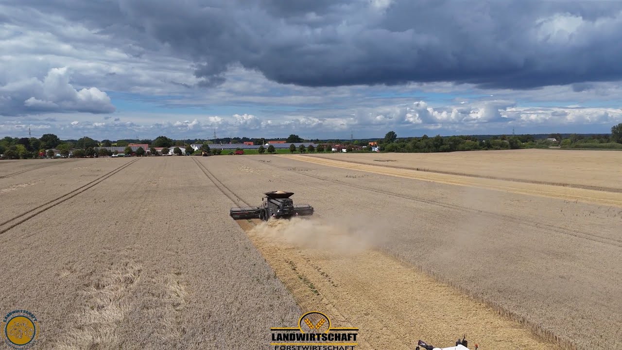 Schaffen wir die Fläche noch vor dem Anstehenden Regen? CR11& 15m Schneidwerk kommt zur Hilfe