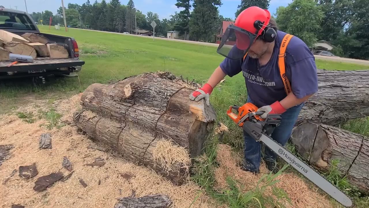 HUSQVARNA 555 IS A NOODLING MACHINE! (re-upload)