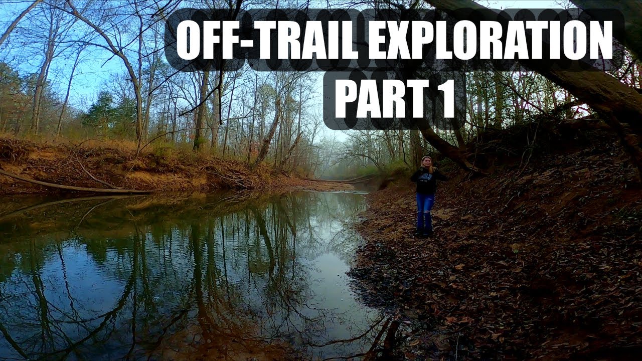 Raw 37‑Minute Walk Through an Untouched Backwoods Creek — Peaceful Exploration
