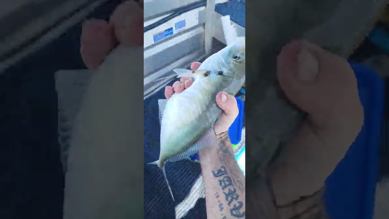 Catching BIG Skippy (Silver Trevally) Mandurah Estuary with Dad
