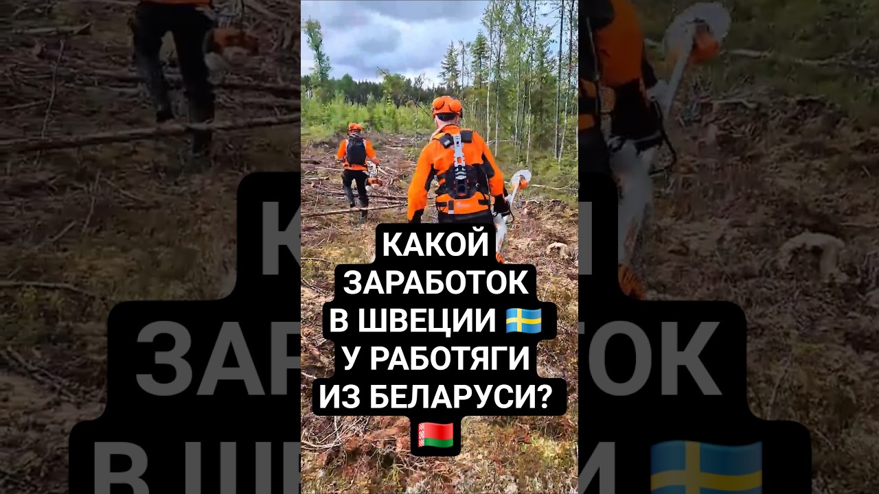 Сколько зарабатывает белорус в Швеции на обычной работе? 💸🇸🇪 #shorts
