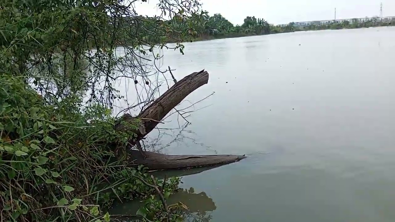 Spot Mancing Bekasi - Kota Harapan Indah Desa Pusaka Rakyat