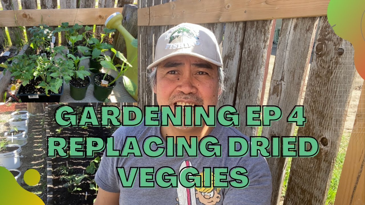 Gardening Episode 4 | Replacing Dried Veggies | 1st Strawberry fruit