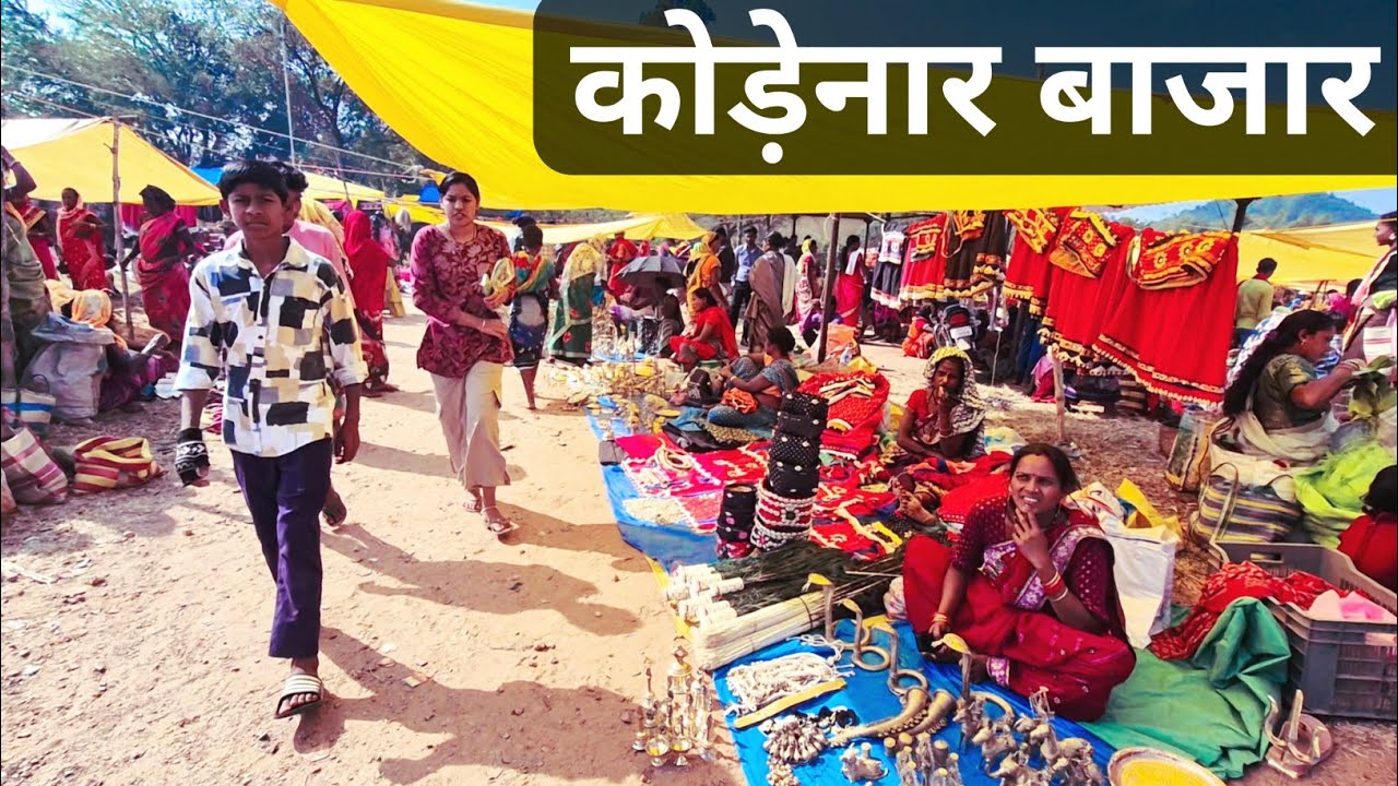 कोड़ेनार बाजार | Kodenar market Vlog | देखिए ट्रैवल एरिया का मार्केट | by lalo kawasi vlogs 