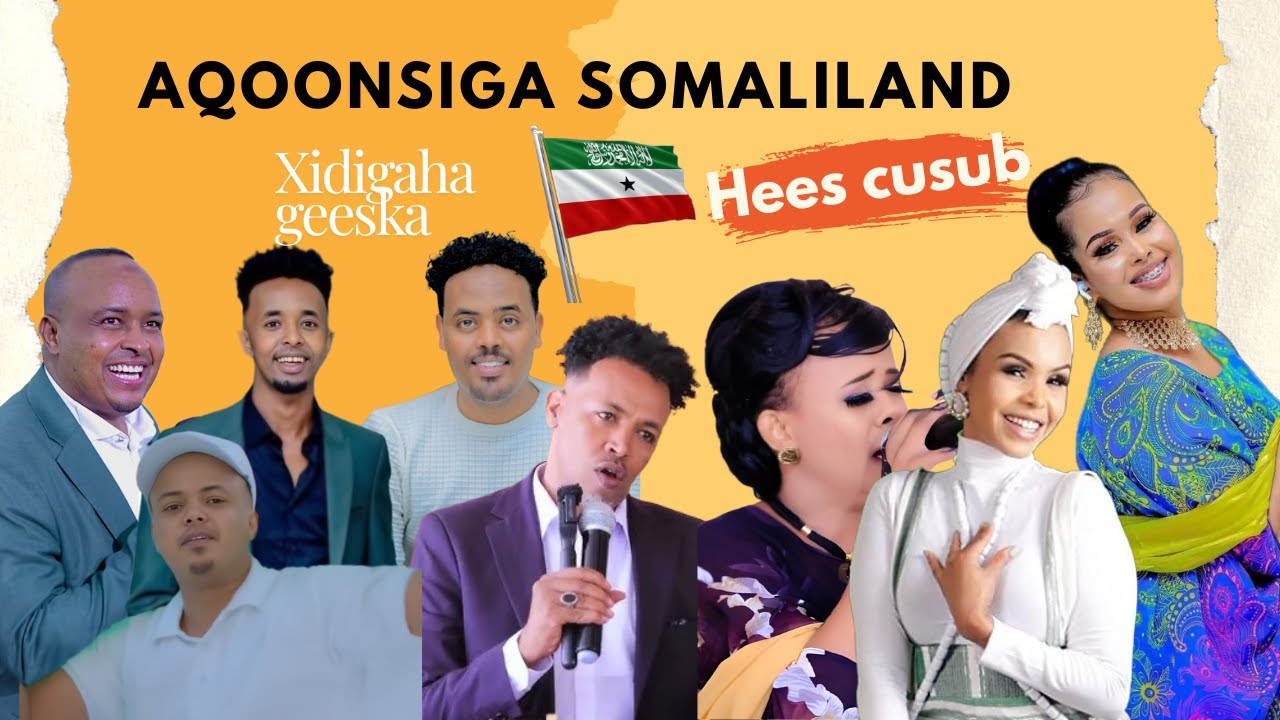 XIDIGAHA GEESKA | WIXII LOO DHINTOO DHABA BAA LA HELAY | HEES AQOONSIGA SOMALILAND 2026
