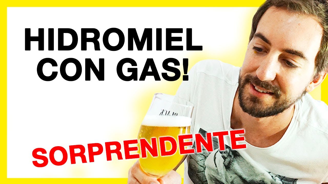 PROBANDO HIDORMIEL CON GAS 🍺 Tutorial hidromiel 5/5