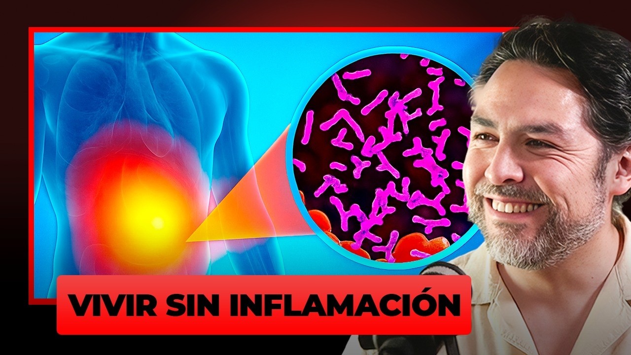 Experto en Inflamación: Cómo Desinflamar tu Cuerpo y Reparar tu Microbiota (Dr Goosen)