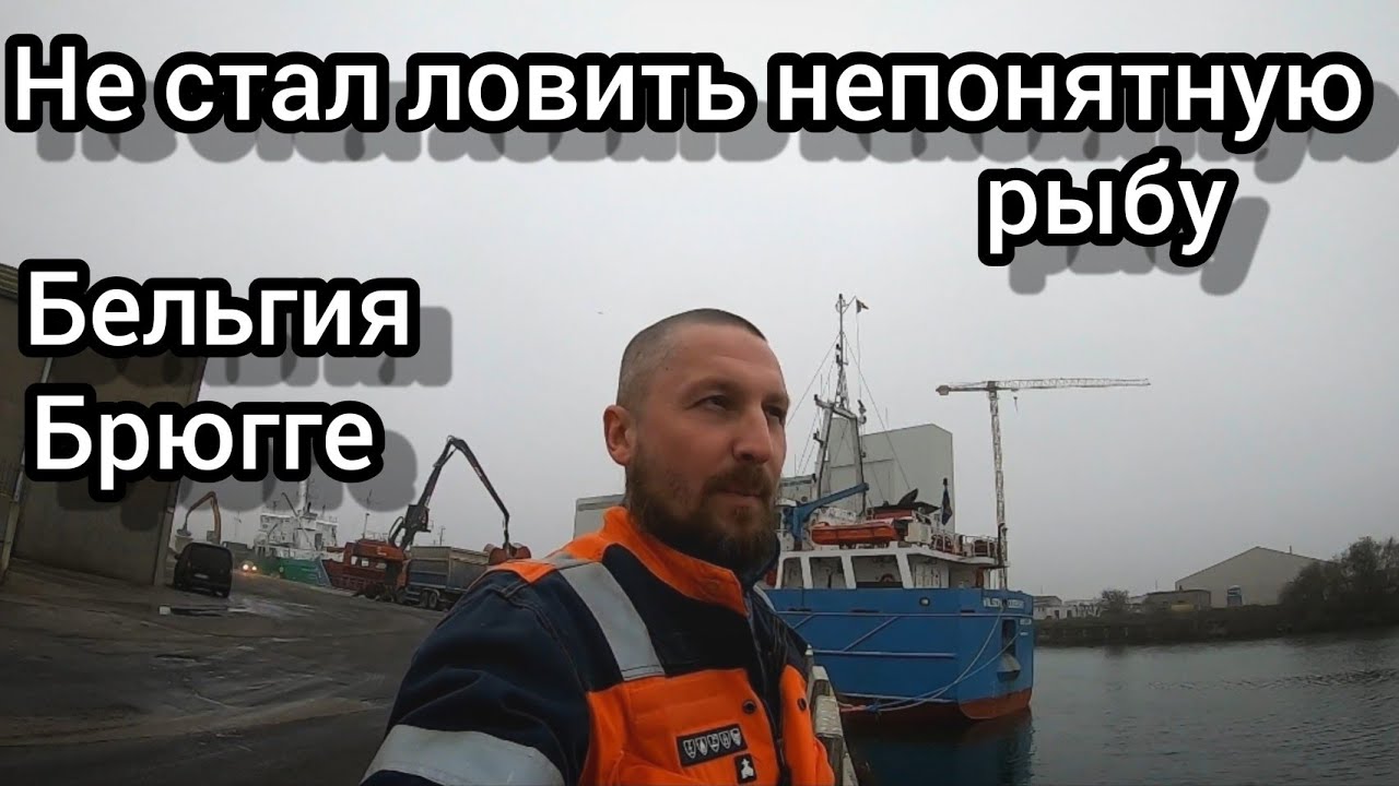 Не стал ловить непонятную рыбу у причала | Брюгге | Бельгия