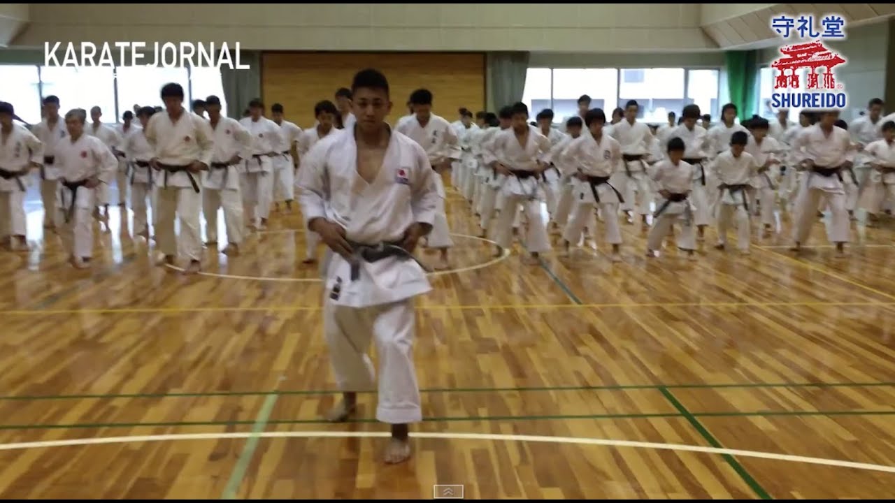 喜友名諒 劉衛流の立ち方と移動　-Standing and Tsugiashi,Okuriashi-