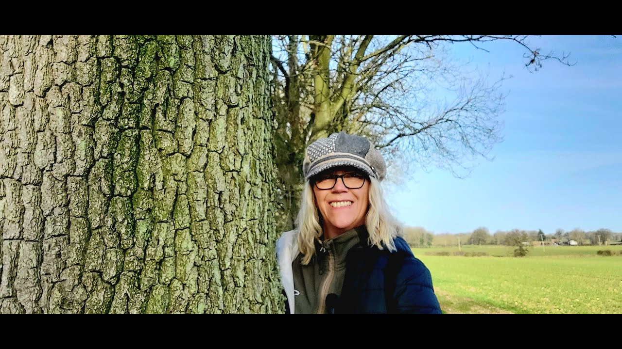 Circular walk from Burlingham Woods Norfolk #woodlandwalks