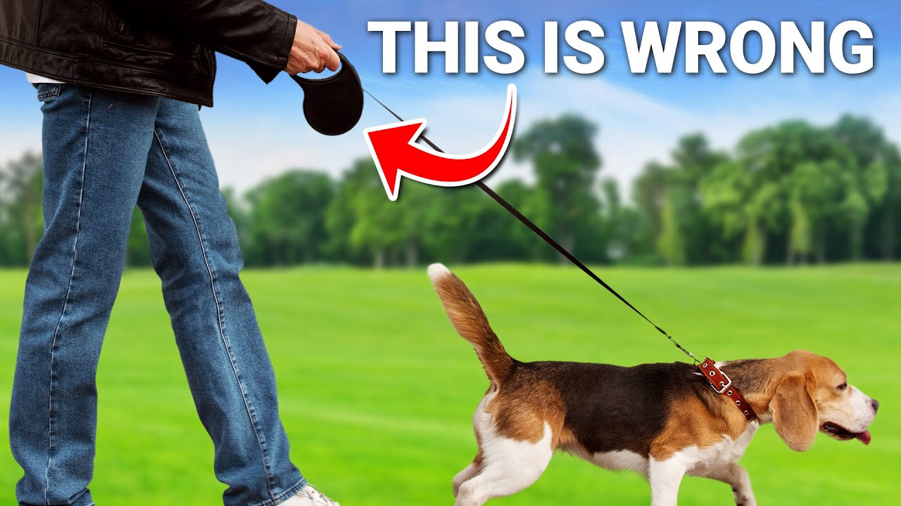 Dog Trainer Reveals Leash MISTAKES Your Making
