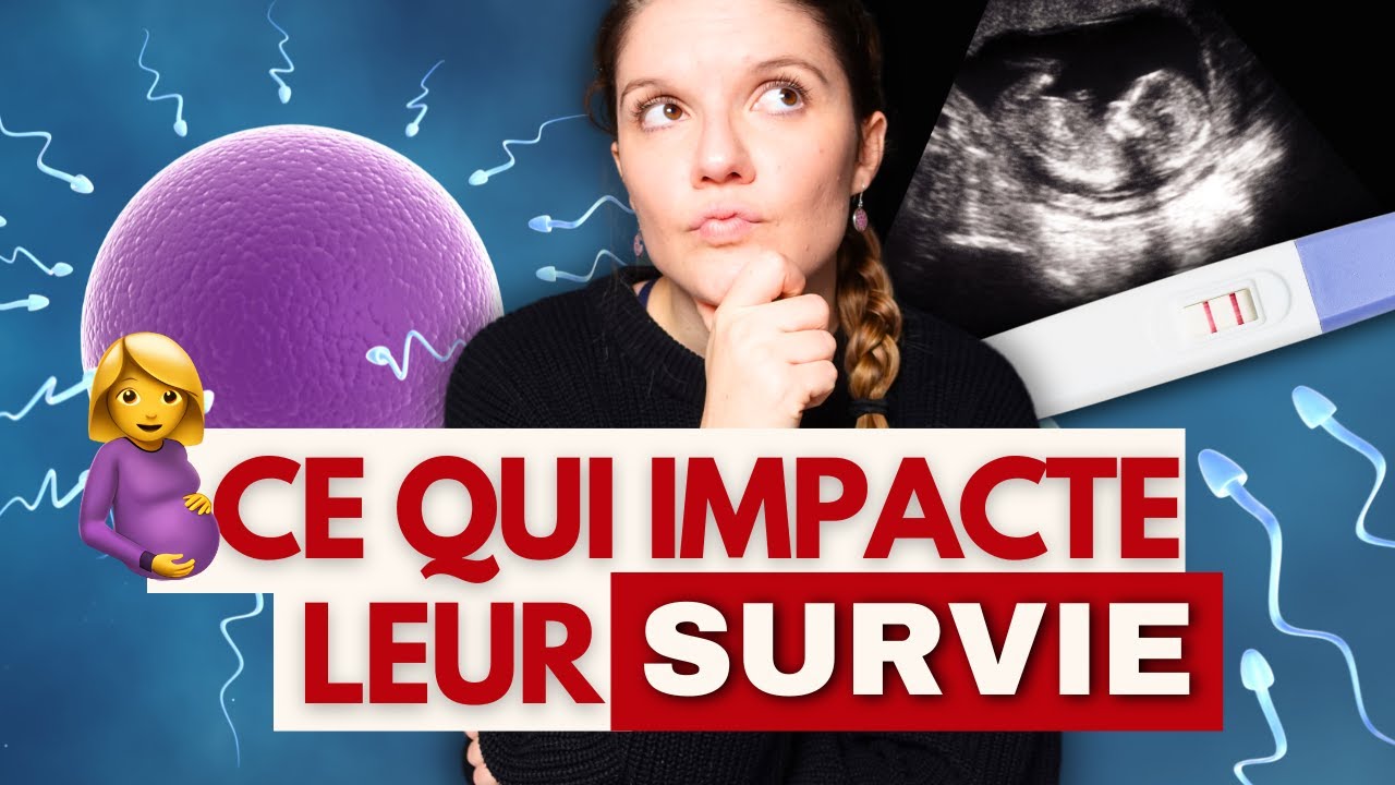 Quelle est la dur&eacute;e de vie des SPERMATOZO&Iuml;DES dans l&rsquo;UT&Eacute;RUS ?