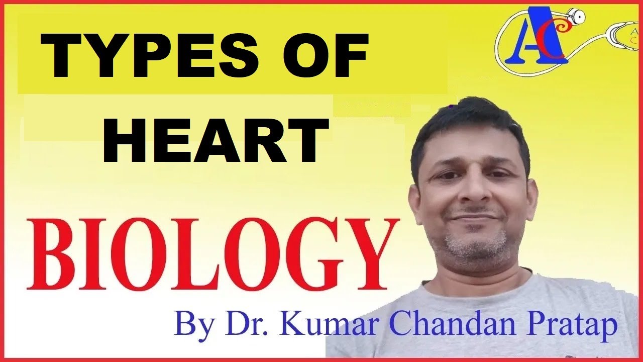Types of Heart
