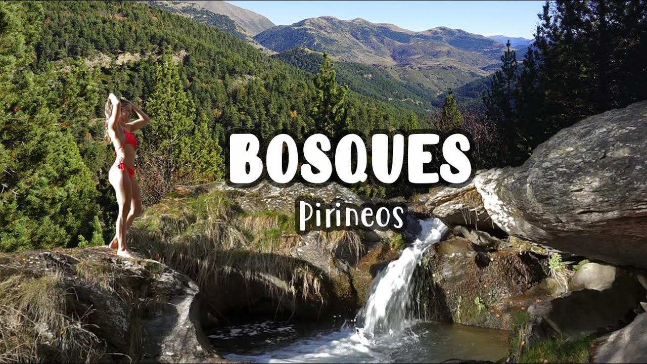 Paseando por un BOSQUE en OTOÑO 🍂  / Los Pirineos españoles