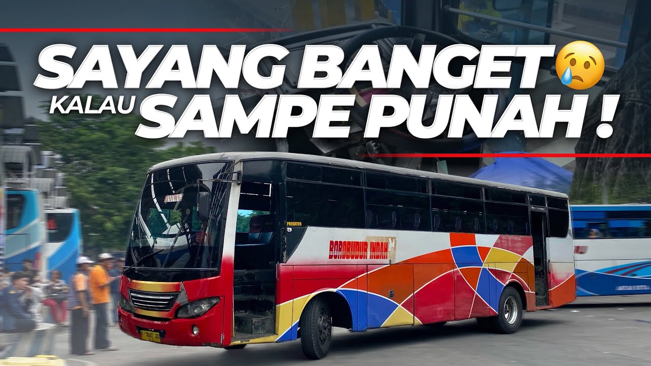 TAHUN DEPAN BAKALAN SULIT NEMUIN BUS UNIK-UNIK LAGI😔 Trip Naik Borobudur Indah Surabaya - Jember