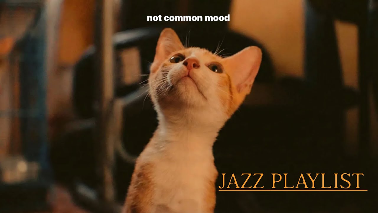 Jazz playlist : Relaxing & Cozy Vintage Vinyl Records