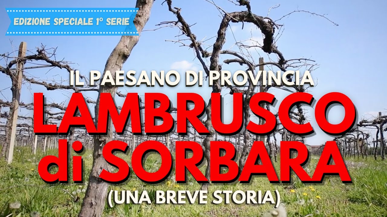 Qui nasce il Lambrusco di Sorbara | Vini d'Italia | Bassa Modenese