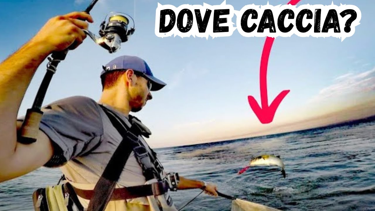 Dove CACCIANO i PESCI?