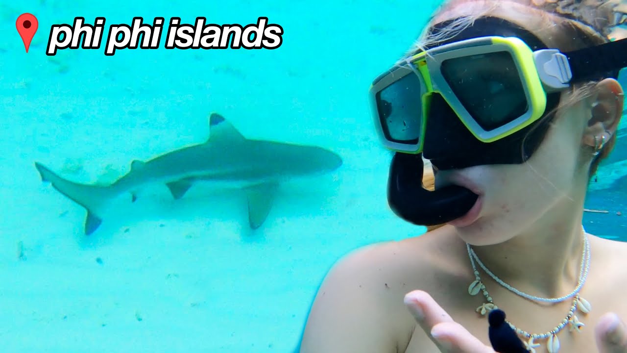 i swam with sharks (phi phi islands vlog)