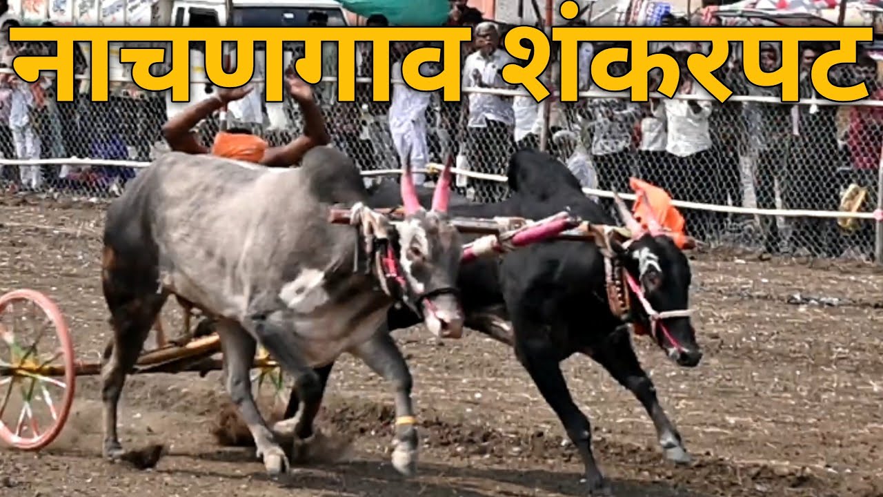 nachangaon shankarpat 2026
