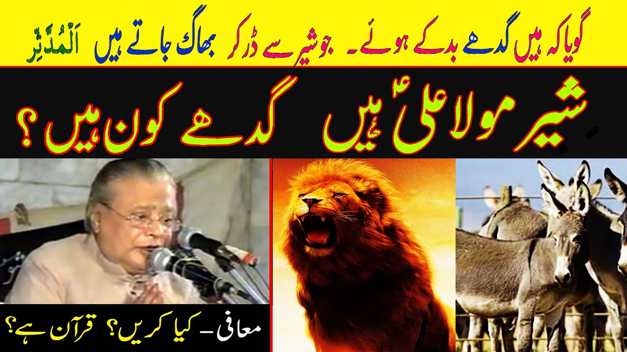 011 | Allama Talib Johri | Mola Ali Shair | Gadhay Kon Hain?