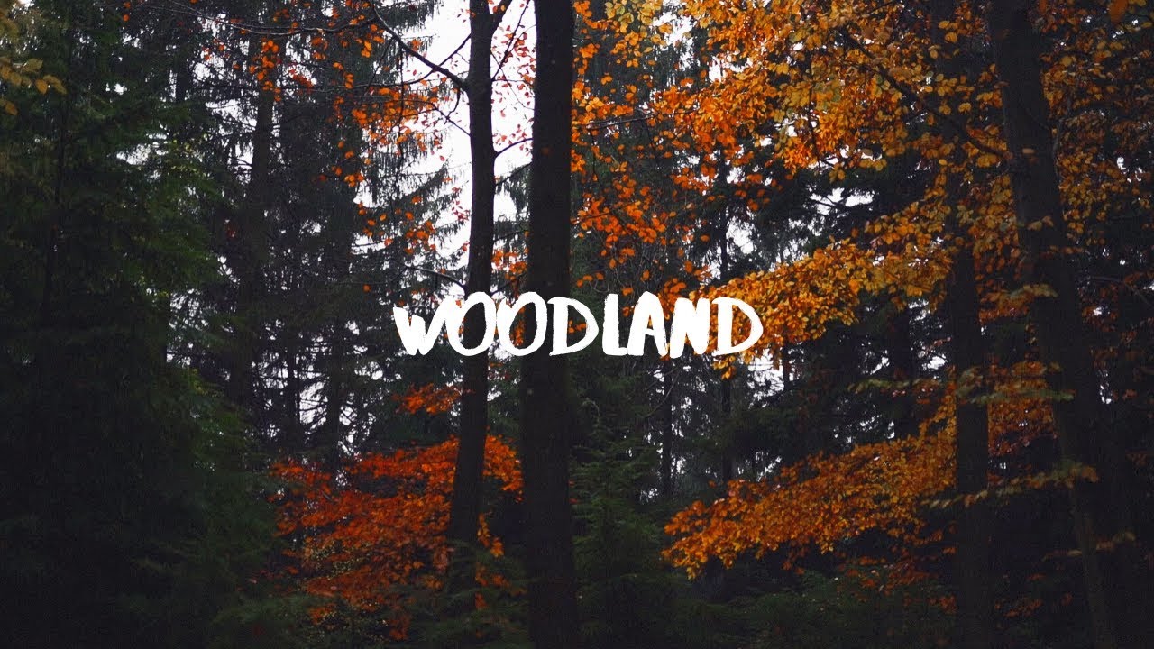 Woodland
