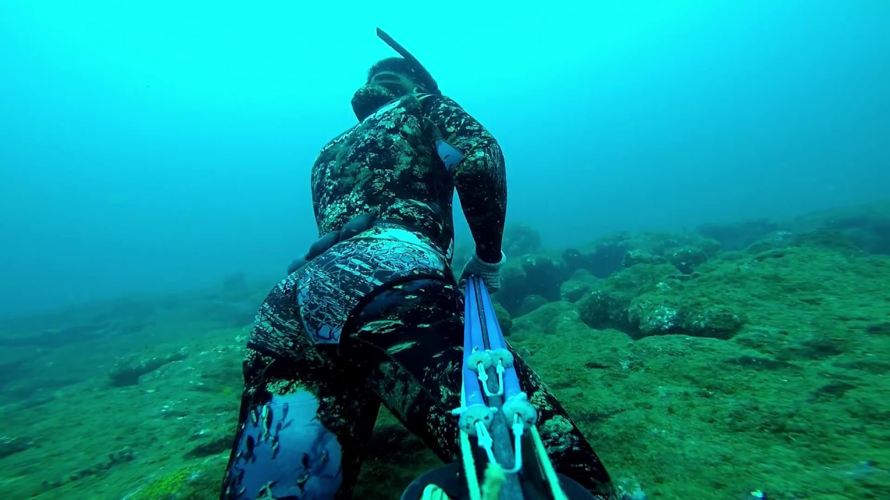 Pesca submarina Salvador/Bahia