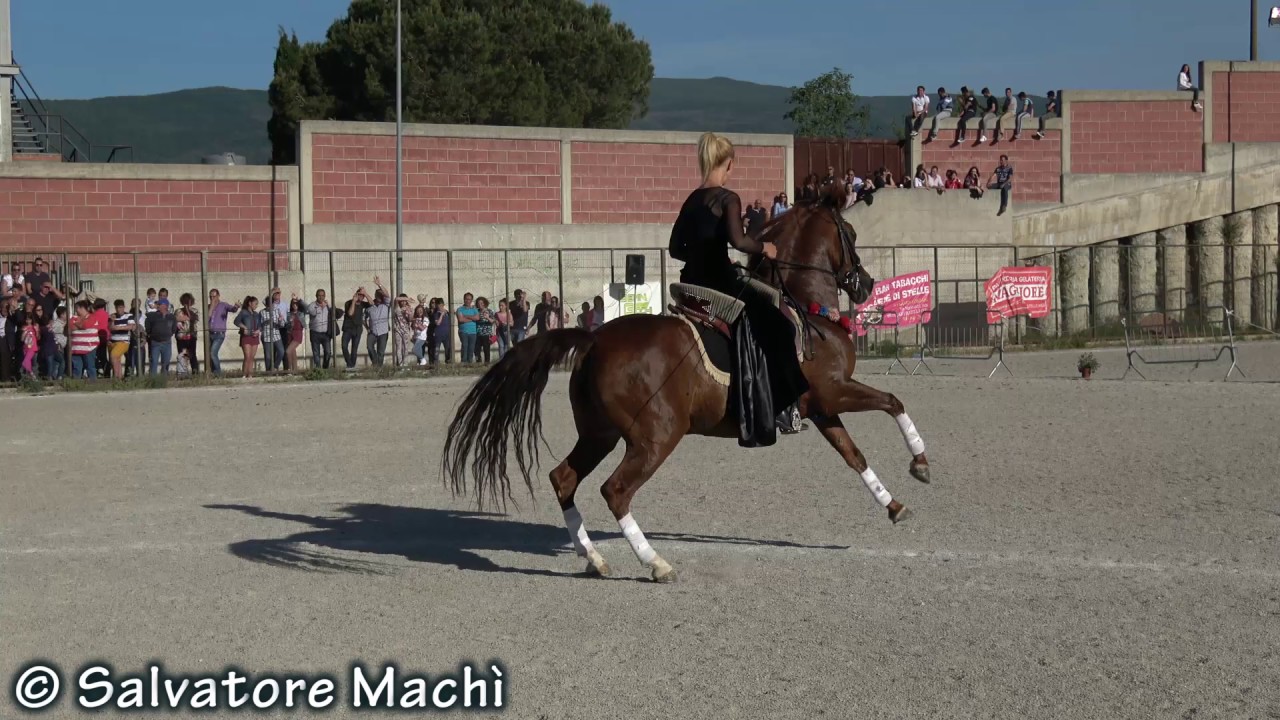 Vera Loforti  - Gala equestre 2017
