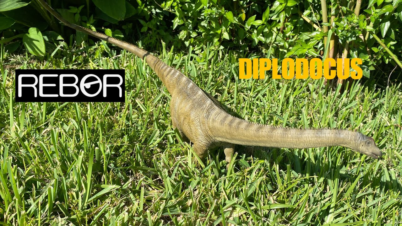 Rebor Diplodocus “Stargazer” review