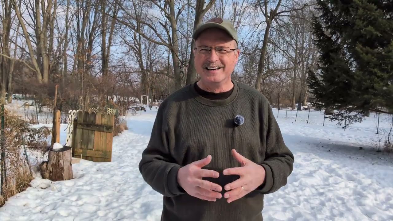Размышления отставного сумасшедшего.