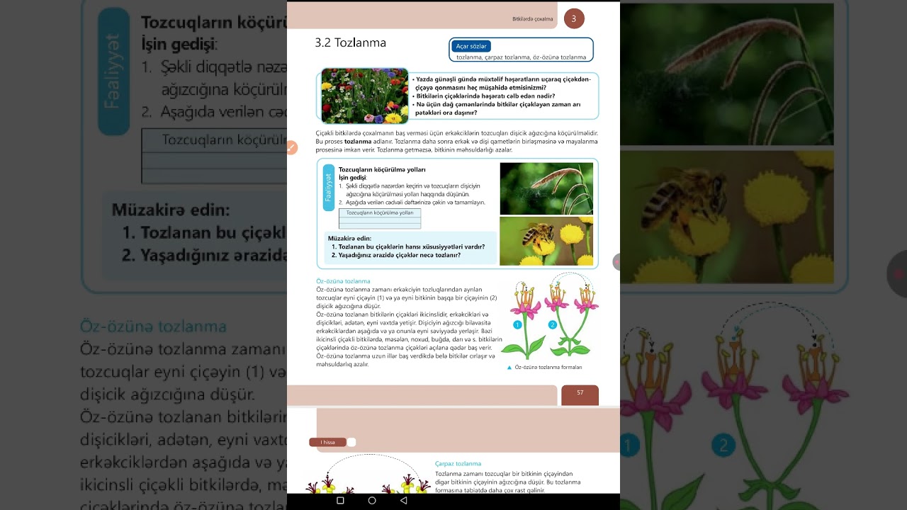 Bitkilərdə çoxalma. 3.1;3.2;3.3