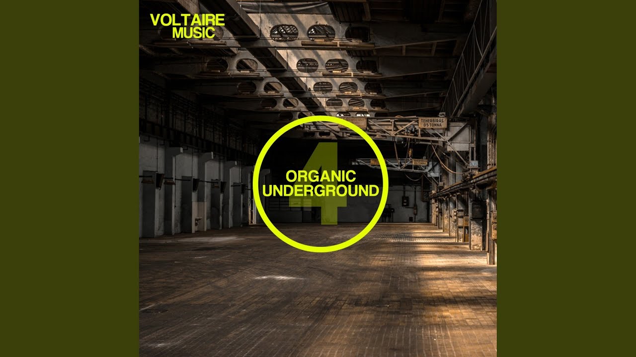 Pointer (Original Mix)