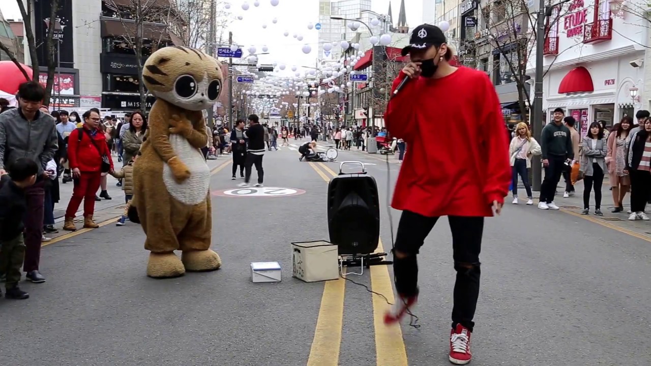 JHKTV] 명물고양이 와 디오비 special cat & dob introduce