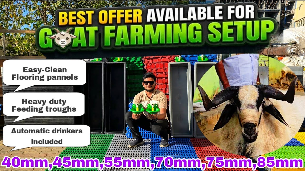 Hi-Tech Goat Farming I Slatted Plastic Floor | Retteri Goat Market 2026 #goat #sheep #hitech #setup 