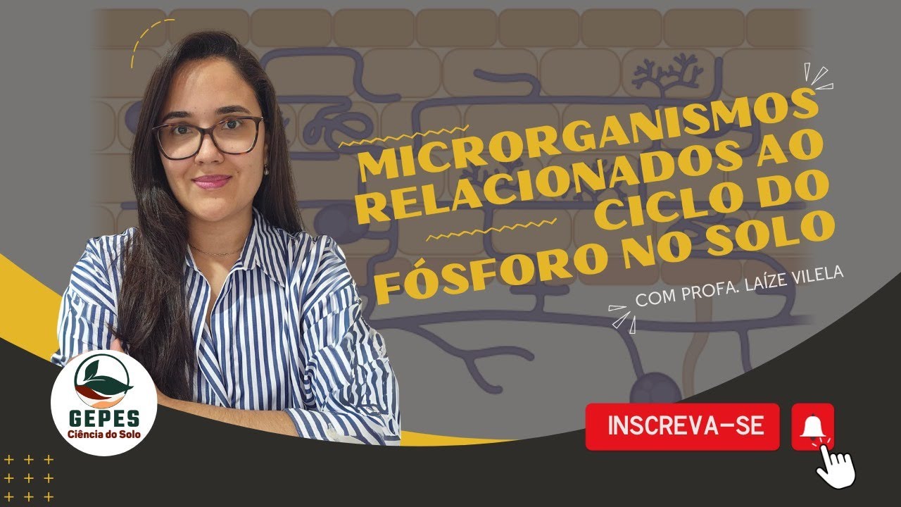 MICRORGANISMOS RELACIONADOS AO CICLO DO FÓSFORO NO SOLO.