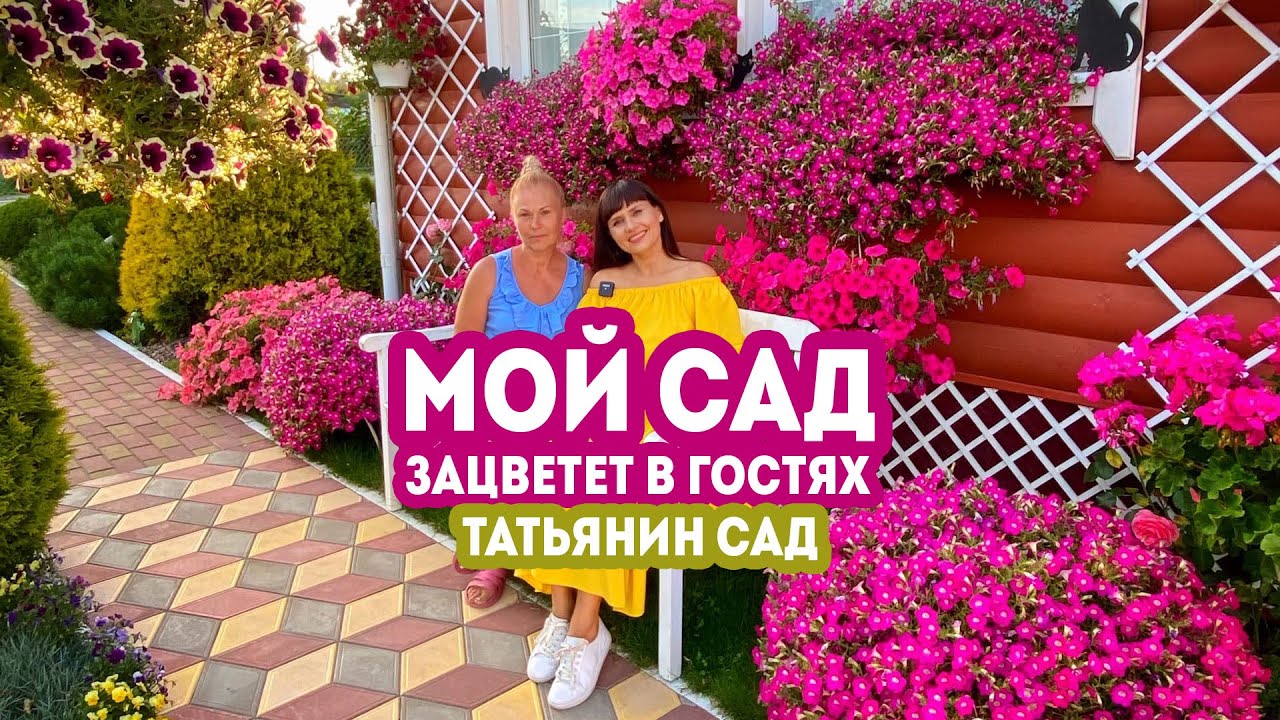 Мой сад.  Зацветет в гостях. Татьянин Сад 2020