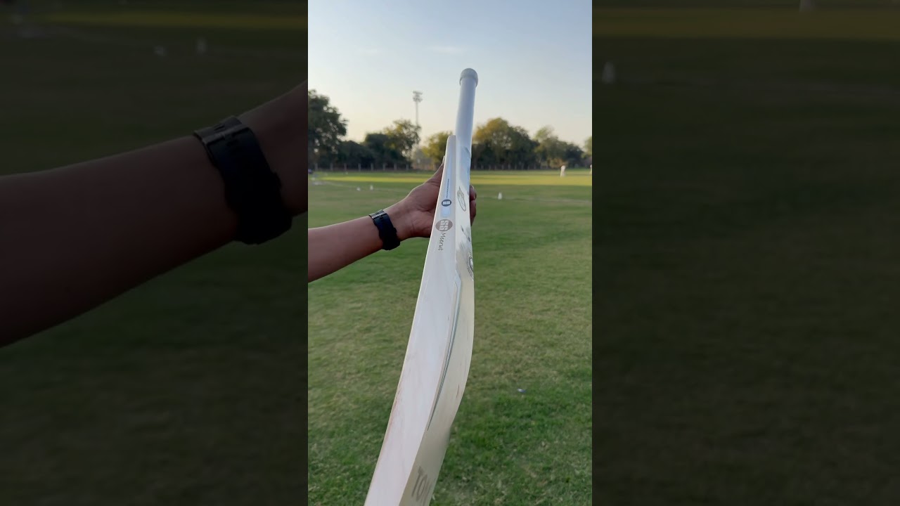 SS PRO 1.0 English Willow Bat | Cricket Bat | Ping Test | Cricket #cricket