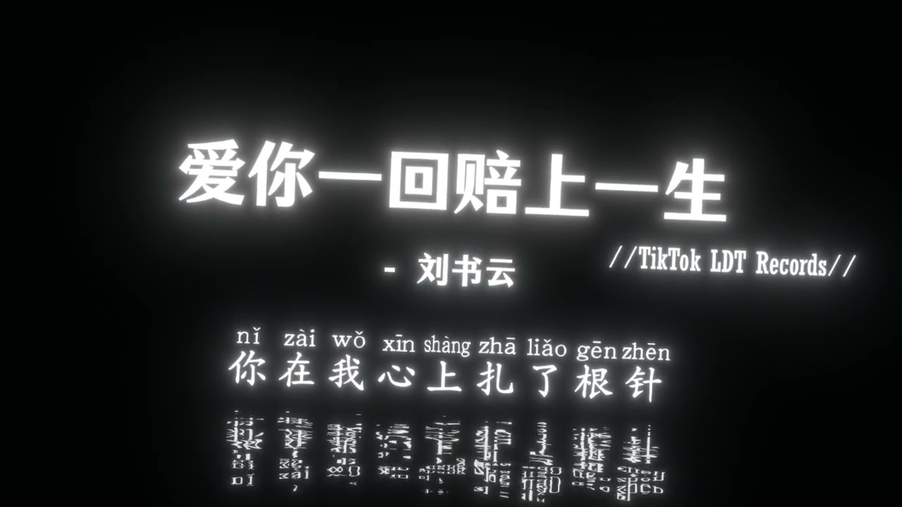 刘书云 - 爱你一回赔上一生 (对唱版)(抖音DJ版)『你又一次闯入我的梦，醒来之后我泪眼迷蒙，付出了真心换来伤痕，冬雪再冷不及我心冷。』热神抖音热门歌曲｜TikTok BGM
