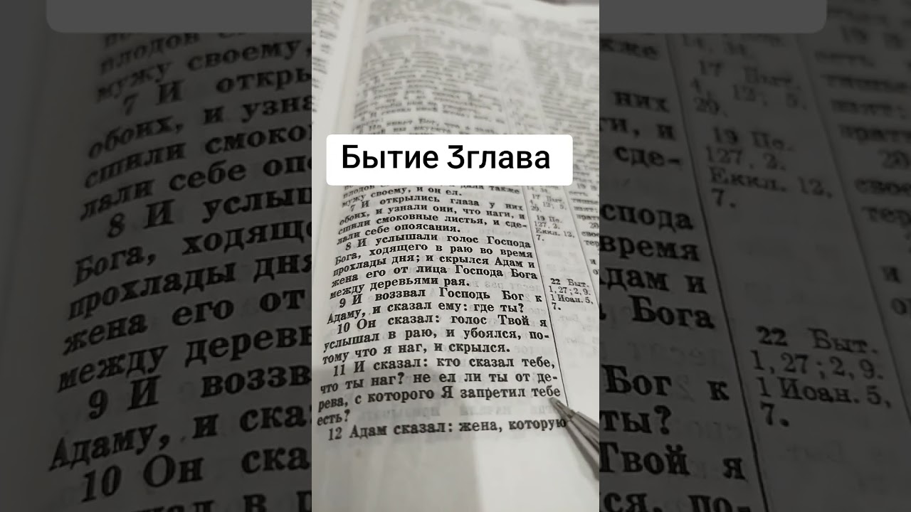 Бытие 3глава #библия 