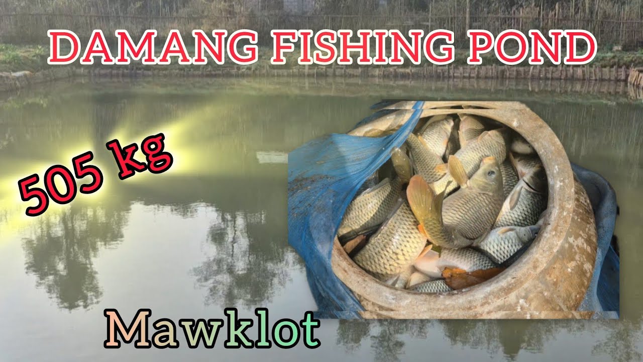 YN SDANG AI KHWAI NOH HA DAMANG KA BA DON HA MAWKLOT. 505 KG FRESH FISHES.