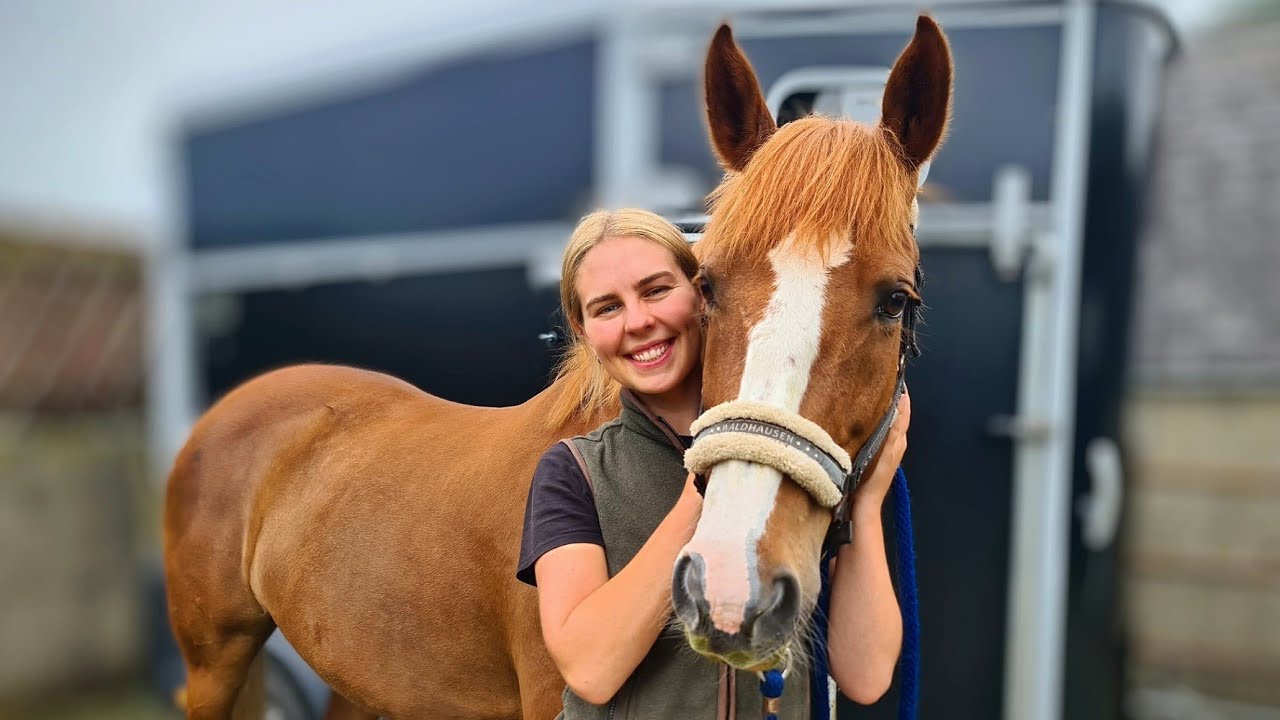 A week in the life of Jess Equine!
