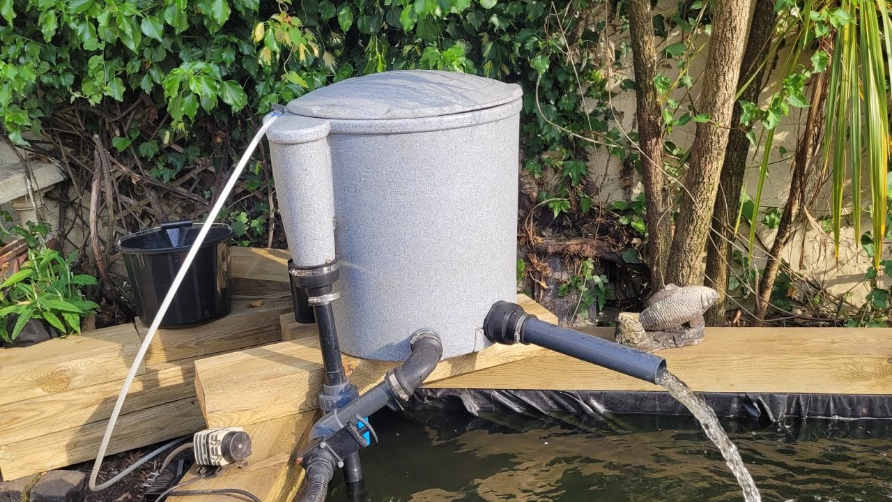 How To Clean An Easy Pod (requested video) And New Koi Day