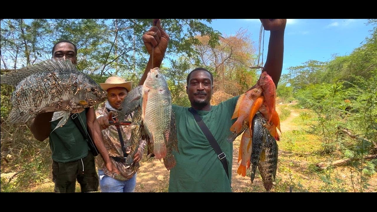 Slingshot Spearfishing vs hand lined epic hunting catch and cook
