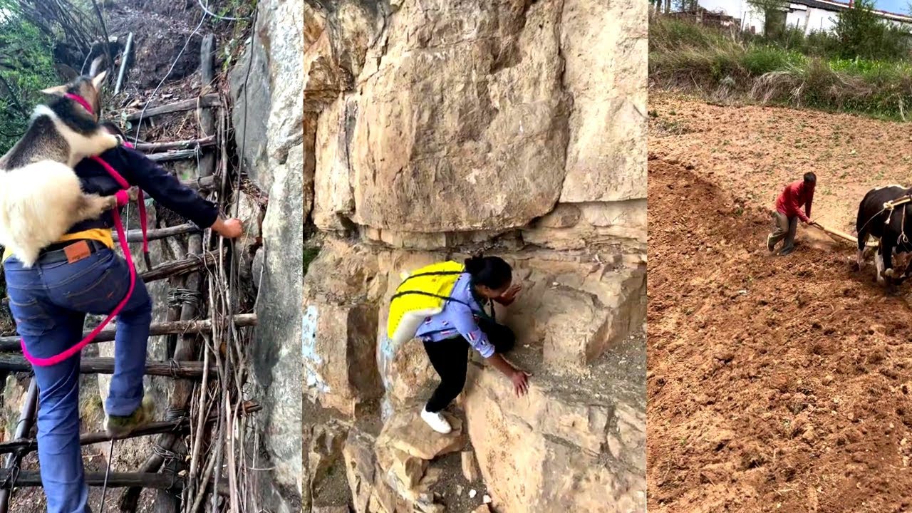 Hardest Rural life on cliff village| Most dangerous road| China rural village daily life