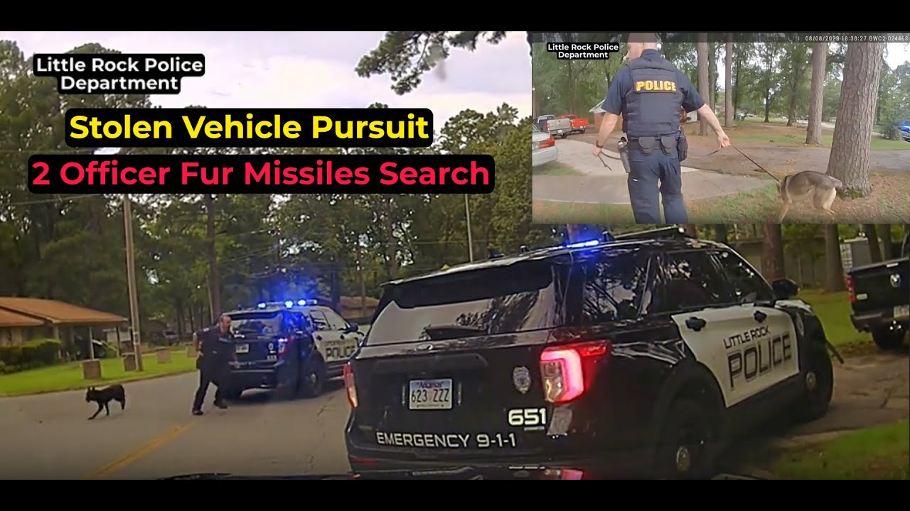 Police Pursuit of Reckless Suspect in Stolen Truck| Officer Fur Missile SUMMONED.