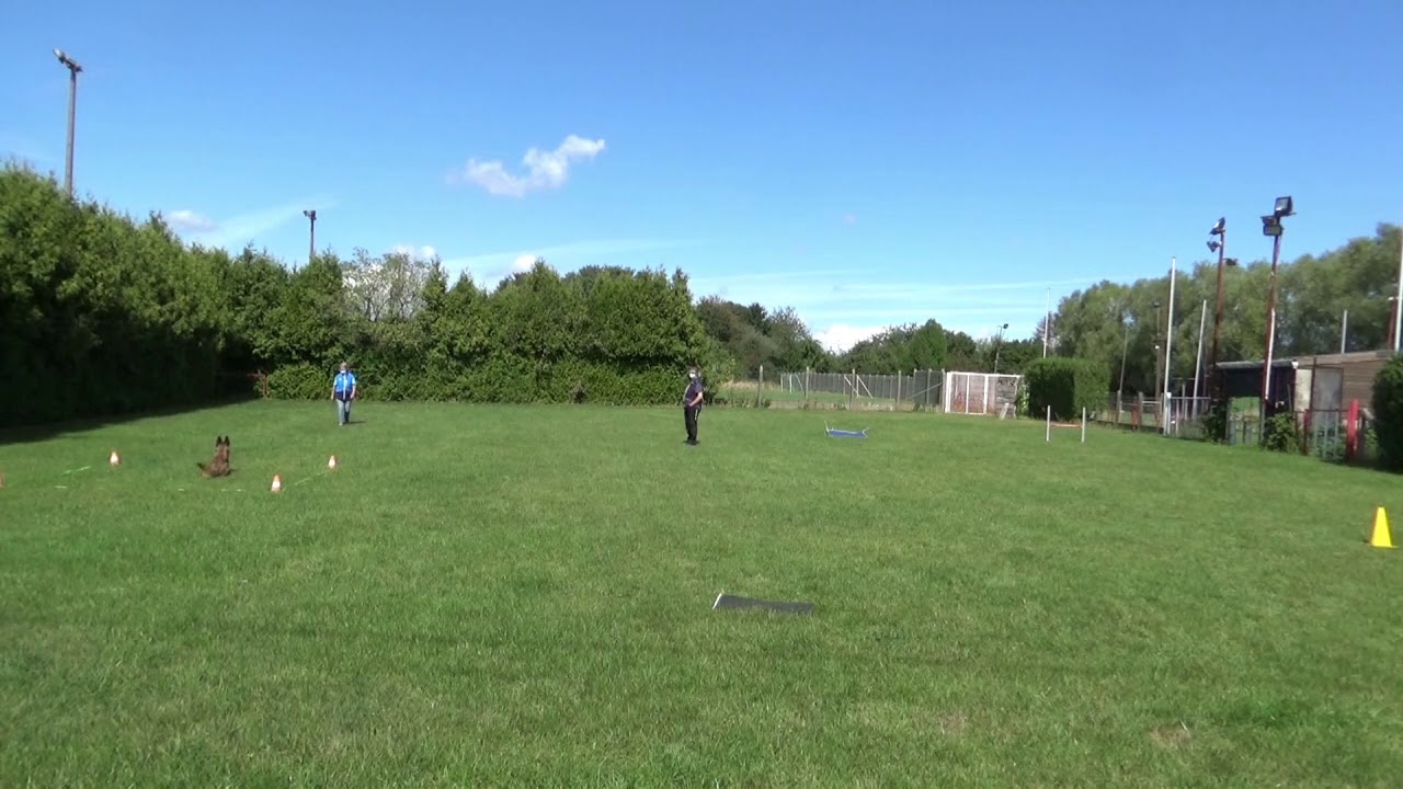 Reward MIB de Jaivita 2 ans entrainement entrainement entrainement 2020 09 01