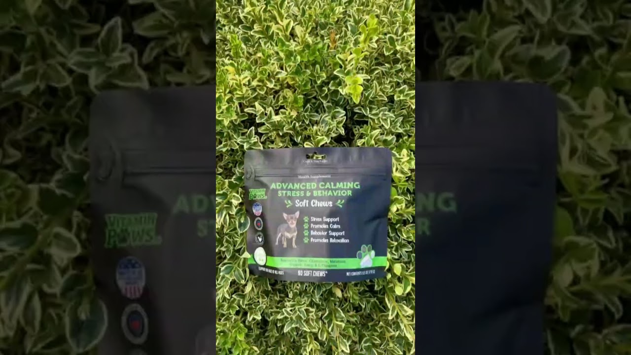 Top Pet Supplements for a Happy and Healthy Life! 🐶✨