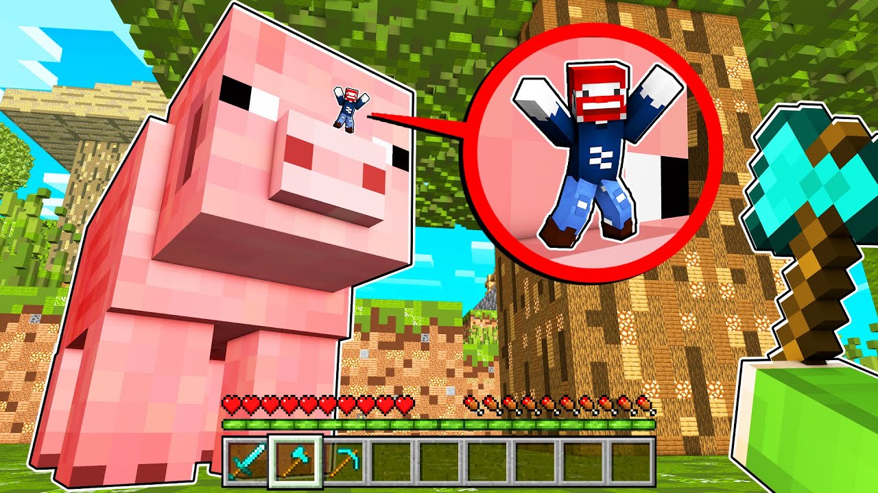 24h auf einer XXL MINECRAFT WELT