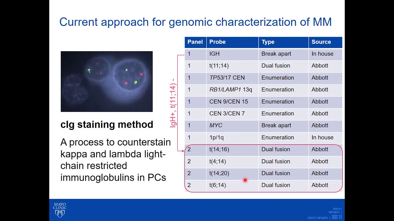 NGS Based Detection of Translocations in Plasma Cell Myeloma